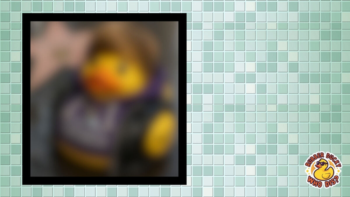 Rubber Ducky, Who Dis? image number null